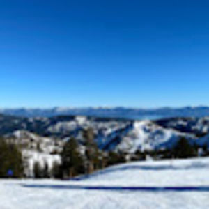 Meet your Posher, Eleanor